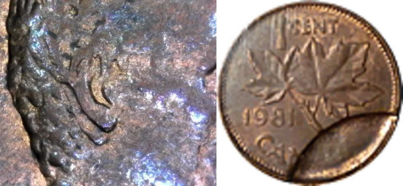 1923-LWC-Very-Different-Alloy-Mixture,-Would-It-Be-Considered-A-Woody?
